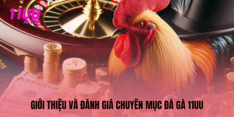Giới thiệu và đánh giá chuyên mục đá gà 11UU
