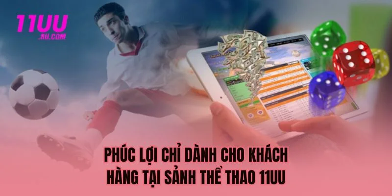 Phúc lợi dành cho hội viên tại sảnh thể thao