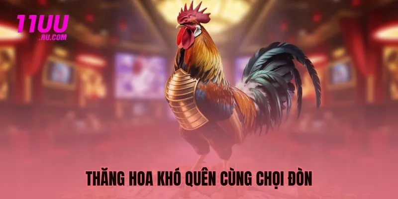 Thăng hoa khó quên cùng chọi đòn