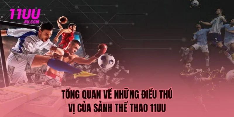 Tổng quan điều thú vị tại thể thao 11UU