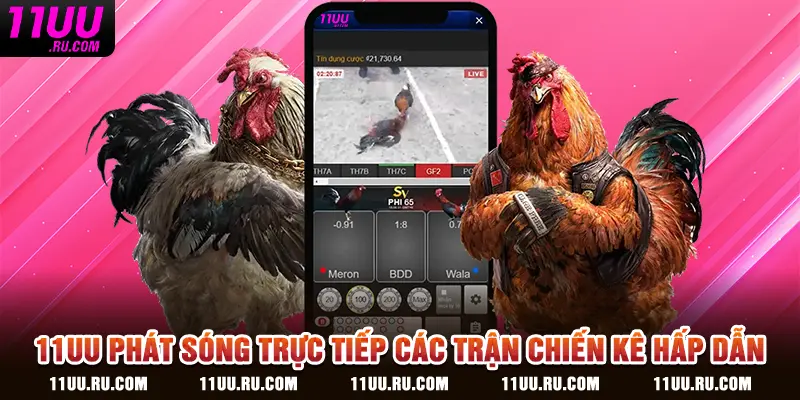 11UU phát sóng trực tiếp các trận chiến kê hấp dẫn