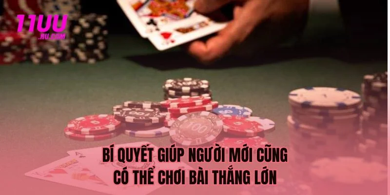 Bí quyết giúp newbie chơi bài thắng lớn