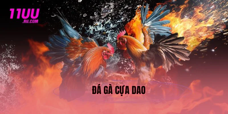 Đá gà cựa dao tại 11uu