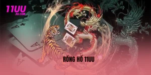 Rồng hổ 11uu