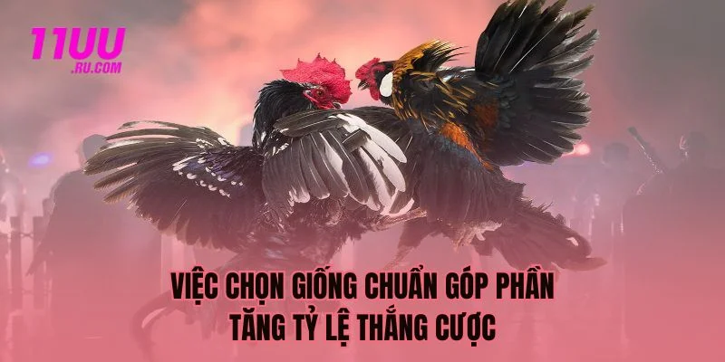 Việc chọn giống làm tăng tỷ lệ thắng cược